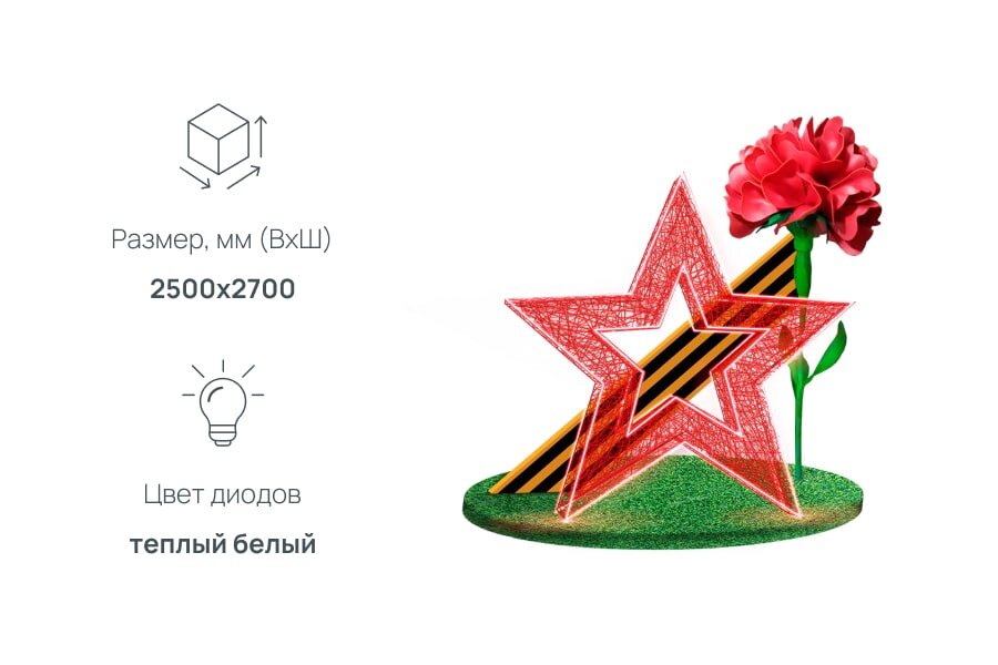 Инсталляция Звезда с гвоздикой