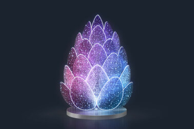 Инсталляция Шишка