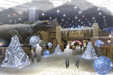 Комплект световых декораций &quot;Север&quot;