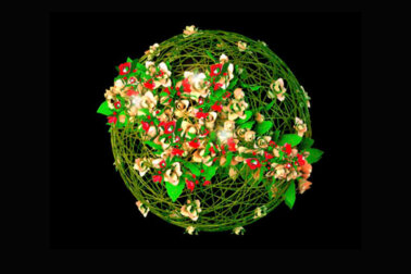 Шар с цветами