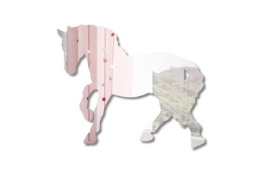 Декоративное зеркало Horse 1
