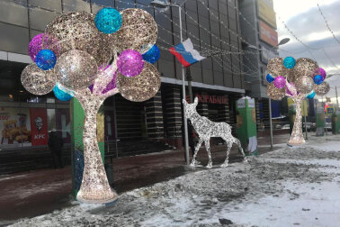 Комплект световых декораций &quot;Лосенок&quot;