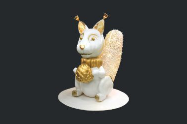 Фотозона Белка