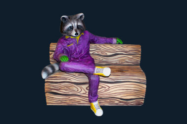 Фотозона Енот на лавочке