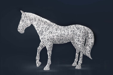 Инсталляция Лошадь