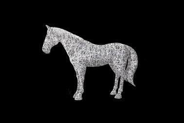 Инсталляция Лошадь