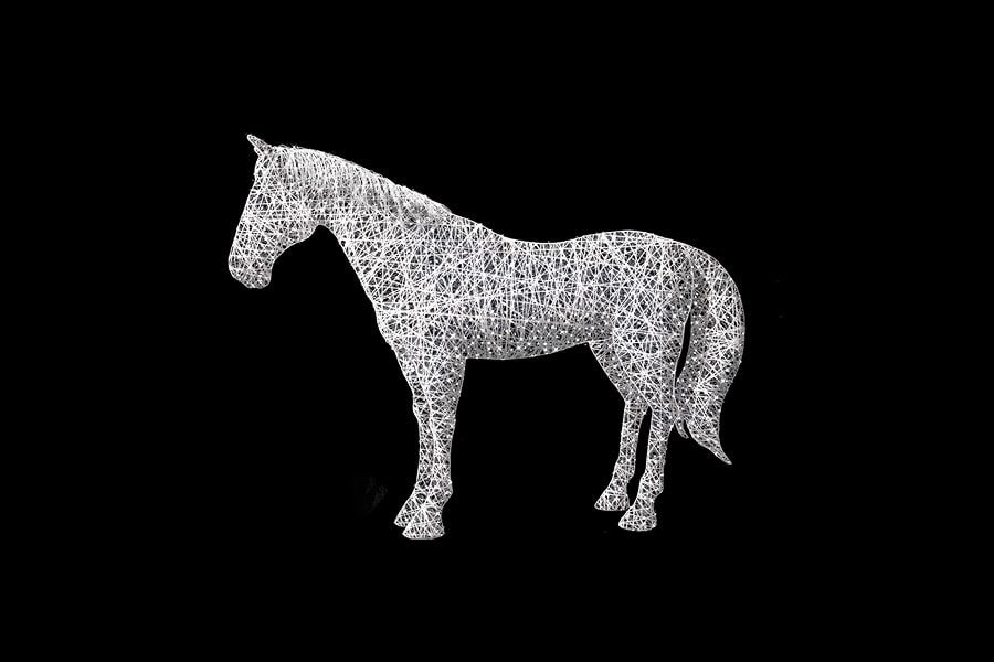 Инсталляция Лошадь